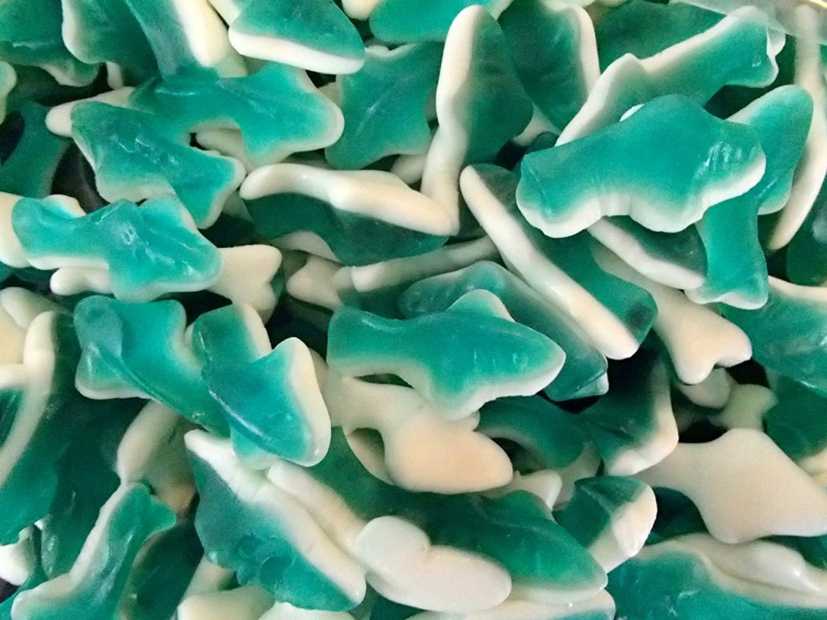 Buy Gummi Sharks 1kg Online Lolly Warehouse