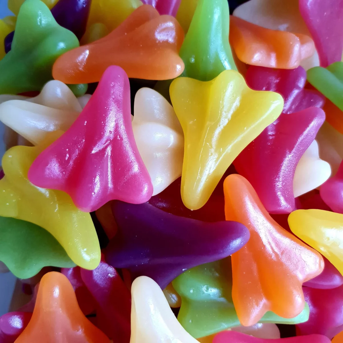 Pascall Online Lolly Shop Lolly Warehouse