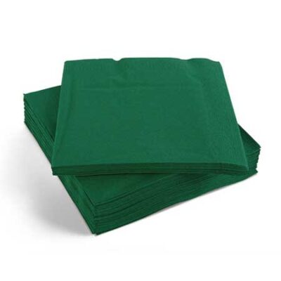Paper Napkins Small Green 50 Pack